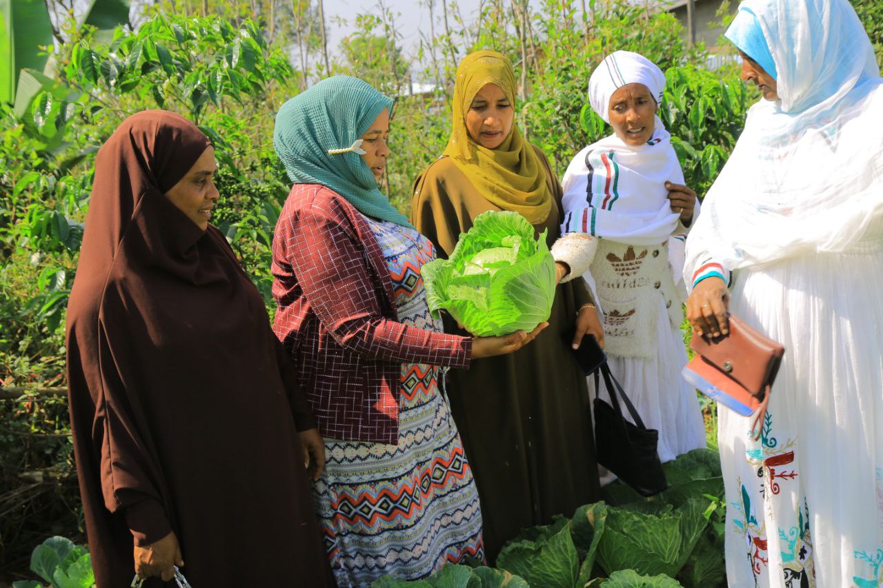 የሴቶች የልማት ህብረት አደረጃጀት ለሁለንተናዊ ብልፅግና መሠረት መሆኑ ተገለፀ ።